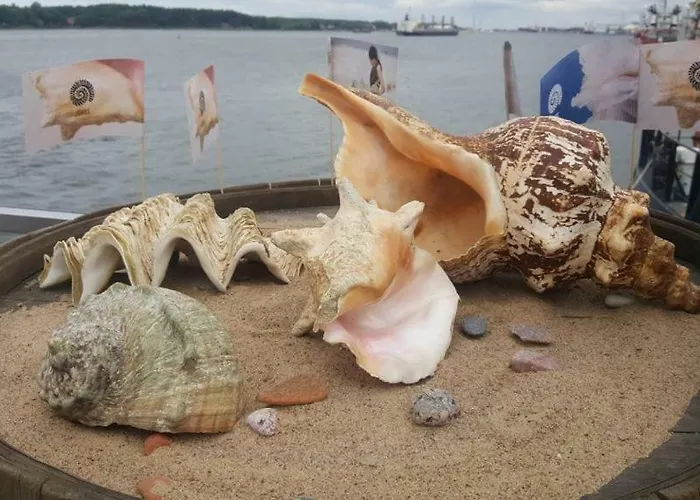 Kastonu Apartamentai Apartment